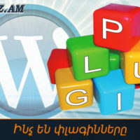 Ինչ են փլագինները