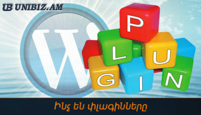 Ինչ են փլագինները